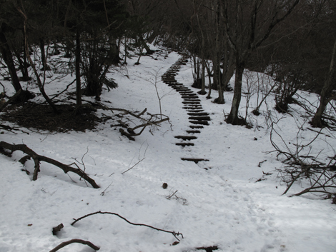 20170113hike (188)